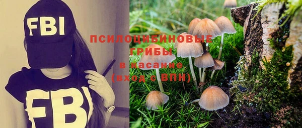 марки nbome Алексеевка