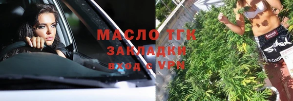 крисы Алзамай