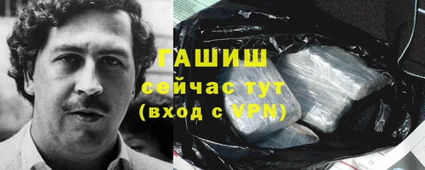 крисы Алзамай