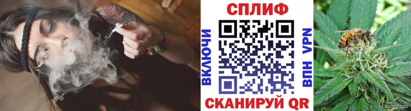 Шишки марихуана семена  даркнет сайт  Лукоянов 